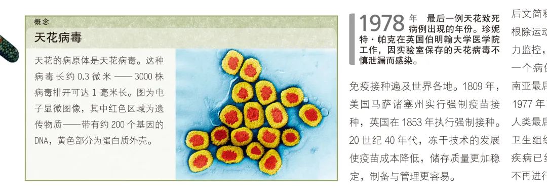 1668392897819553.jpg 8.jpg